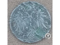 20 halier - Rakúsko-Uhorsko - 1893